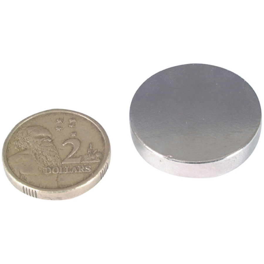 Rare Earth Magnet - Medium 