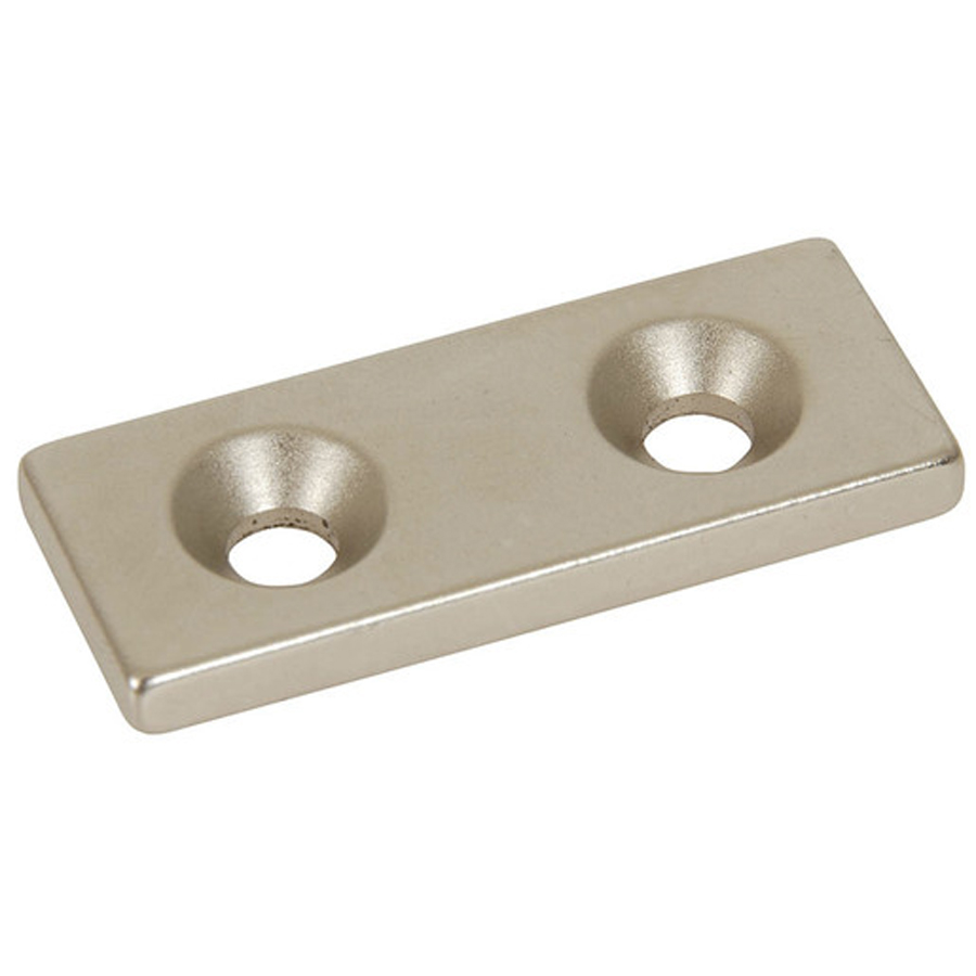 Rare Earth Magnet 50 x 20mm 