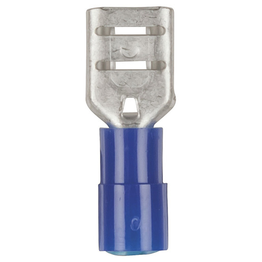 Female Spade - Blue - Pk.8 