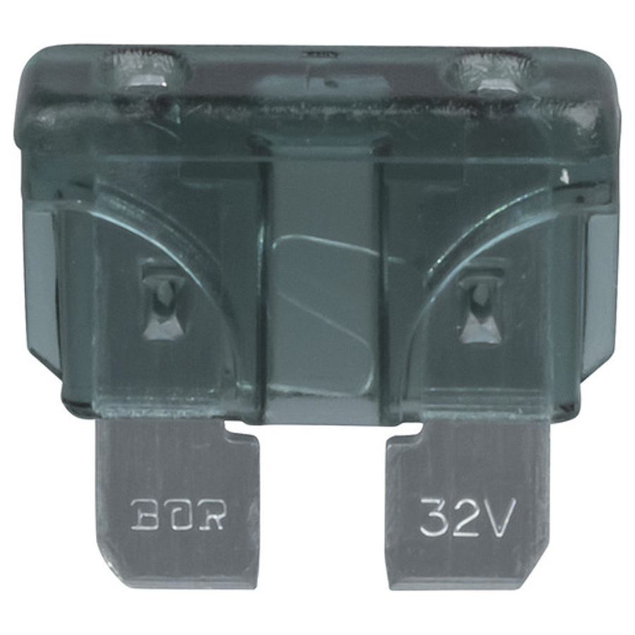 1 Amp Blade Fuse - Black 