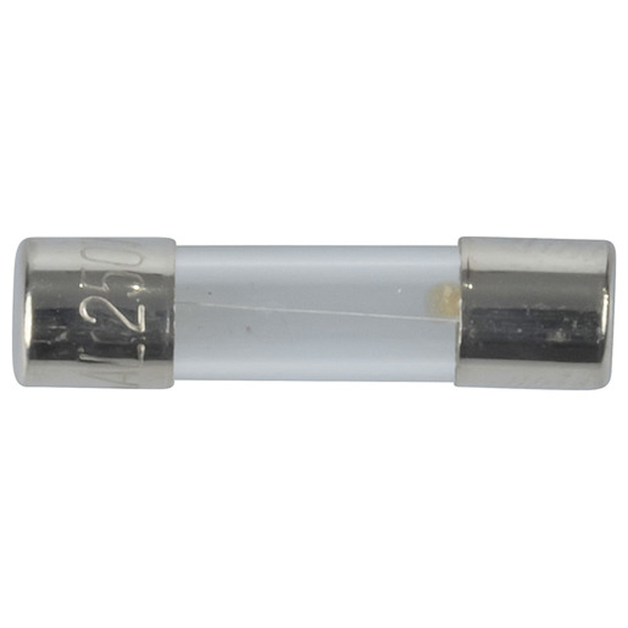 160mA M205 Quick Blow Fuse 