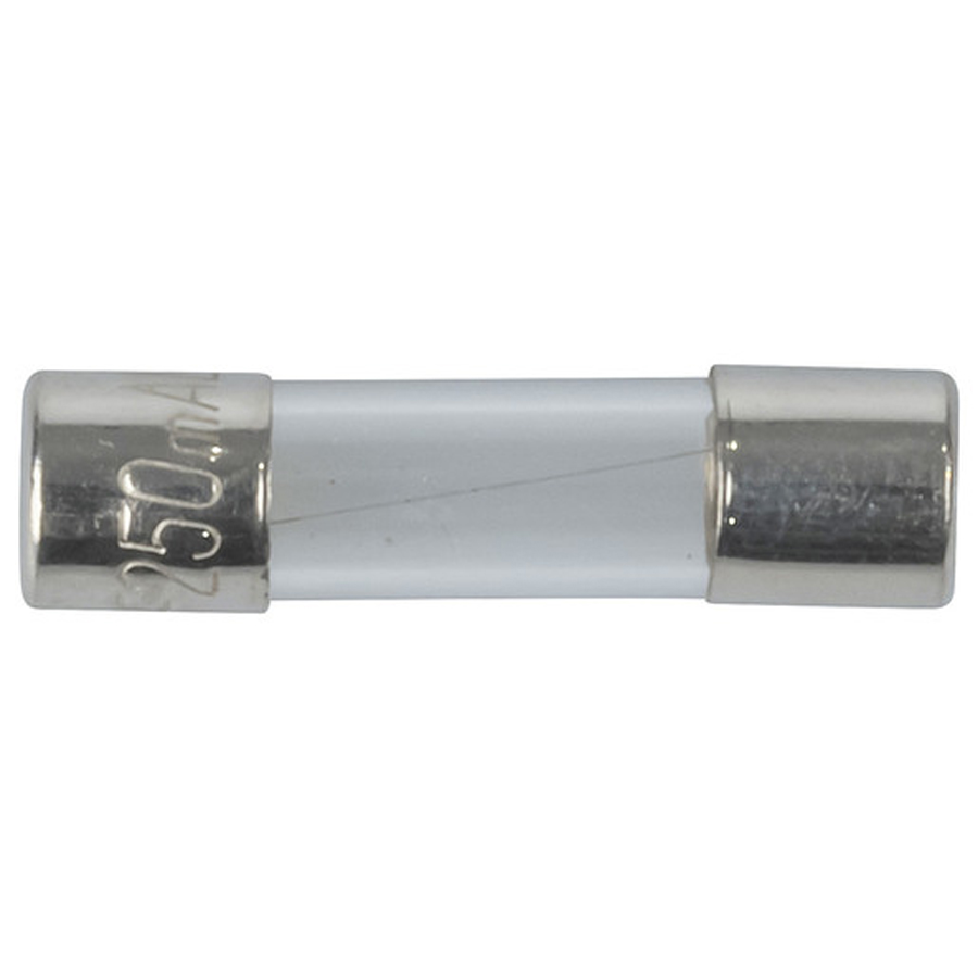250mA M205 Quick Blow Fuse 
