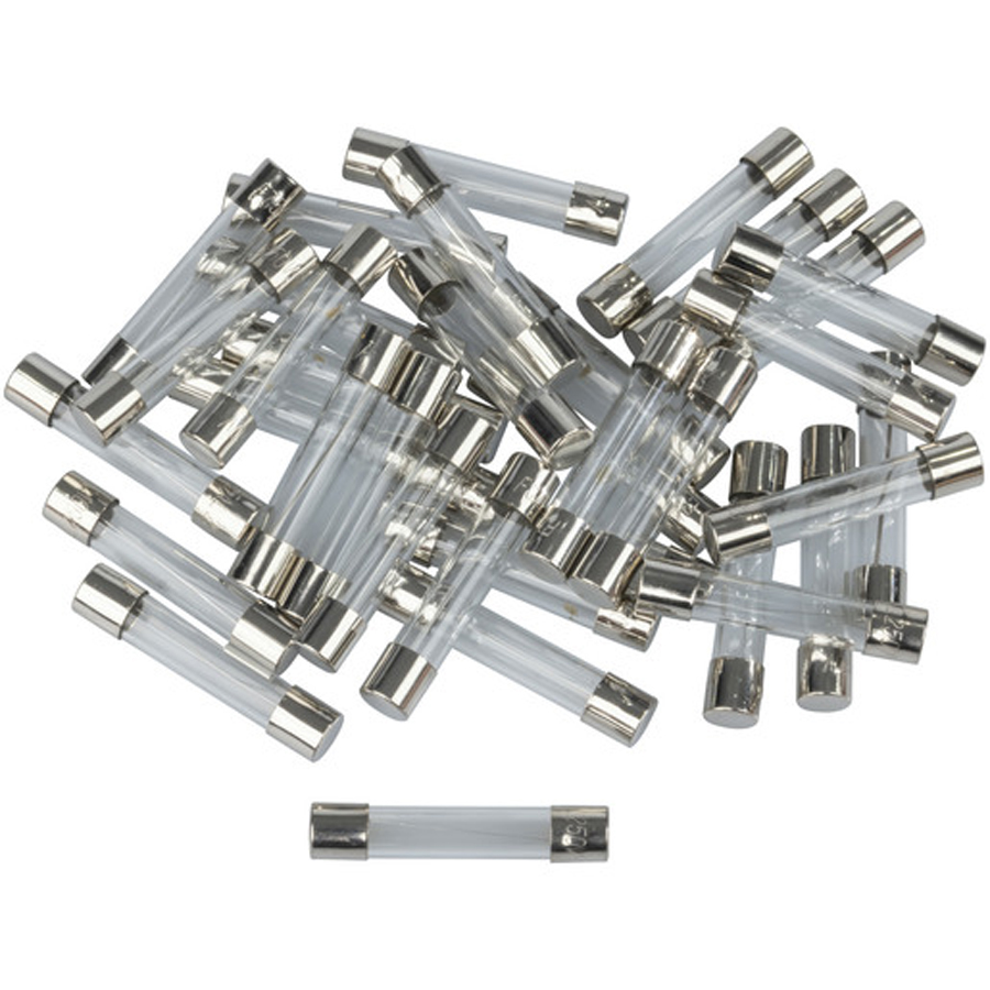 100mA 3AG Quick Blow Fuse 