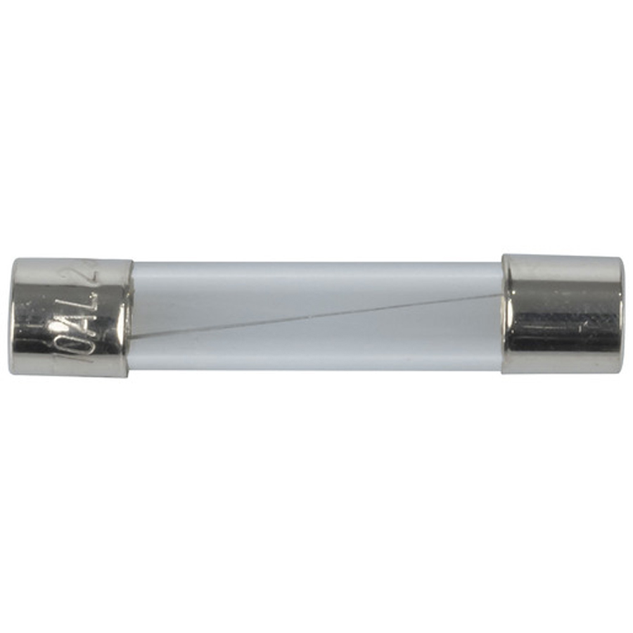 10A 3AG Quick Blow Fuse 