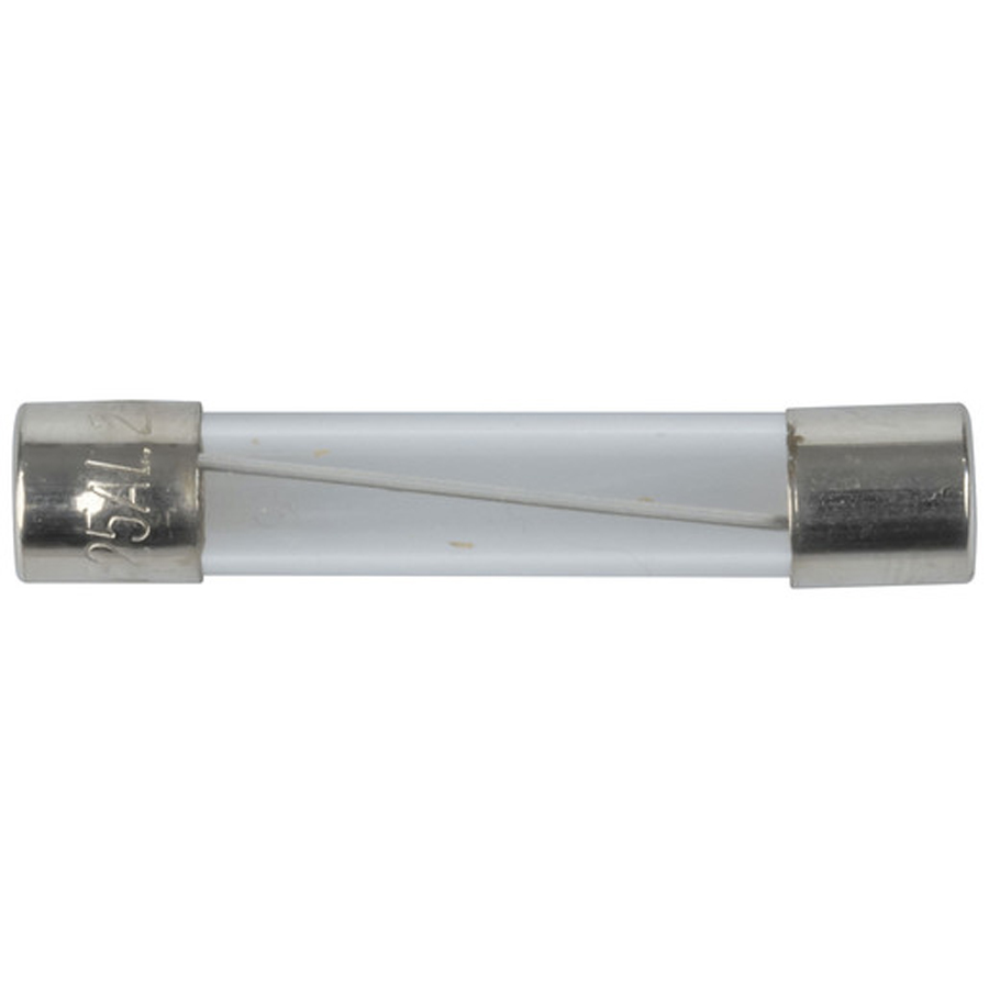 25A 3AG Quick Blow Fuse 