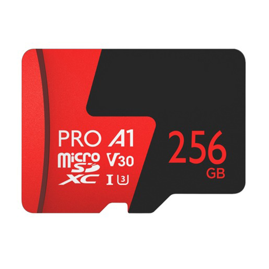 256GB Micro SDXC Class 10 Reads 98MBs, Writes 70MBs 